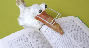 pybS-Docu-Image: A bird with glasses reading a dictionary