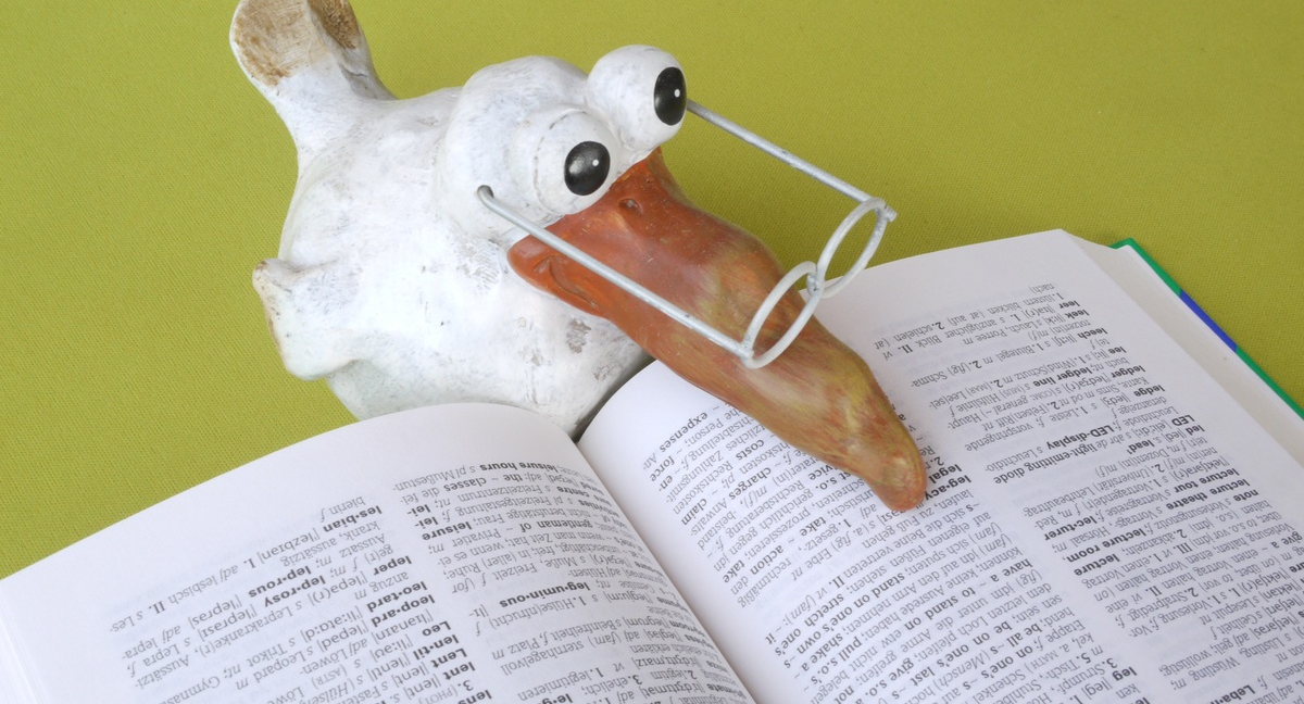 A bird with glasses reading a dictionary