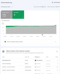 Google Search Console Problem