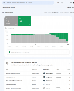 Google Search Console Success